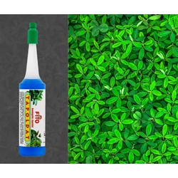 Fito orchidea tápoldat csepegtető