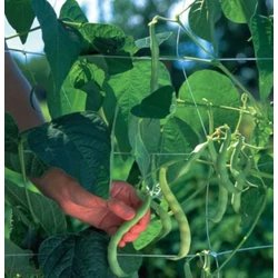 háló növények futtatására műanyag 5mx12m 15x15cm lyukméret