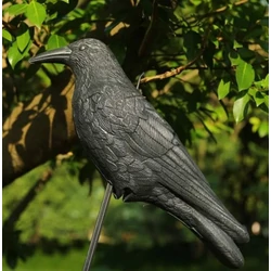 Kerti állatfigura műanyag,  holló madárriasztó 42cm