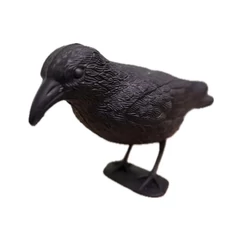 varjú (galamb riasztó)