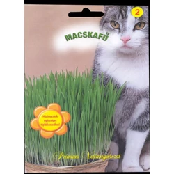 Avena sativa (Bormus inermis)