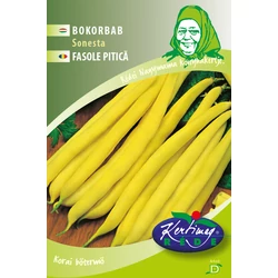 Phaseolus vulgaris 'Sonesta'