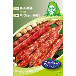 Phaseolus vulgaris 'Rocco'