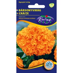 Tagetes erecta
