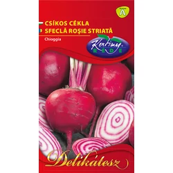 Beta vulgaris 'Chioggia'