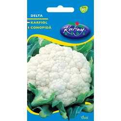 Brassica oleracea 'Delta'