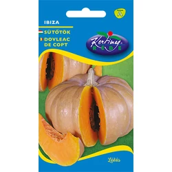 Cucurbita maxima 'Ibiza'