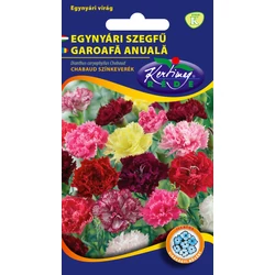 Dianthus caryophyllus