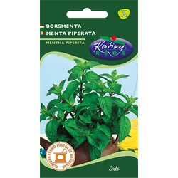 Mentha piperita
