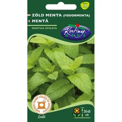 Mentha spicata