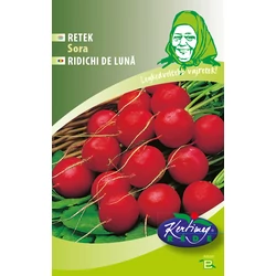 Raphanus sativus 'Korai legjobb'