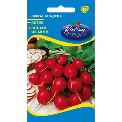 Raphanus sativus 'Korai legjobb'