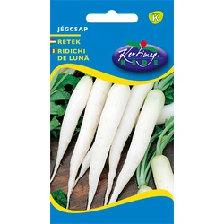Raphanus sativus 'Jégcsap'
