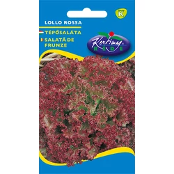 Lactuca sativa 'Lollo Rossa'