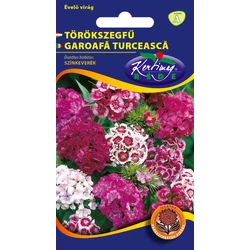 Dianthus barbatus