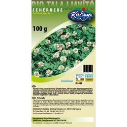 Trifolium repens Rivendel