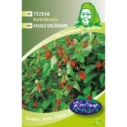 Bab karós piros virágú zöldbab zöldség vetőmag - Phaseolus vulgaris 'Tűzbab' 30g