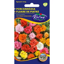 Portulaca grandiflora