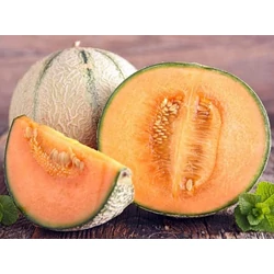Cucumis melo 'Bari'