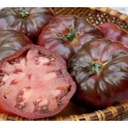 Lycopersicon lycopersicum 'Noire De Crimée'