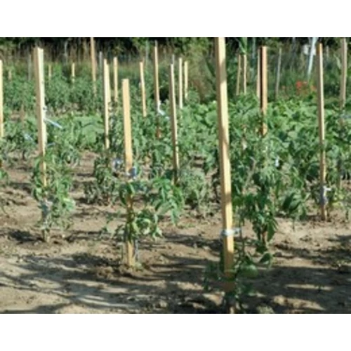 karó bükk 180x2,5x2,5cm