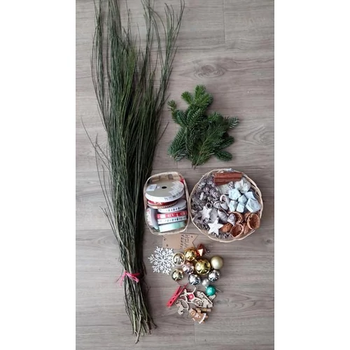 Cytisus