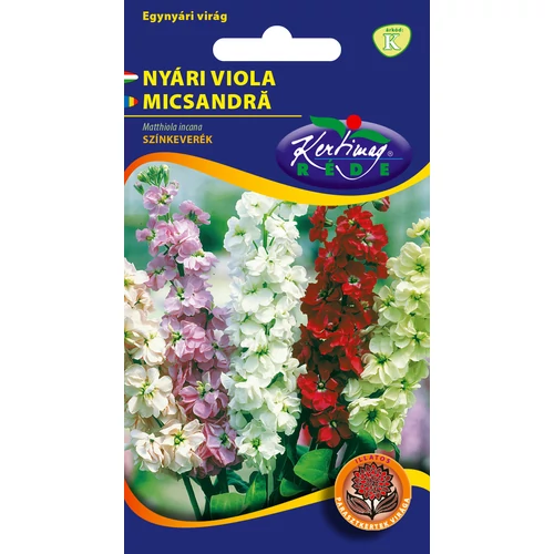 Matthiola incana