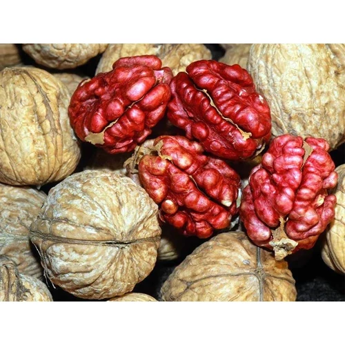 Juglans regia 'Pirosbelű'