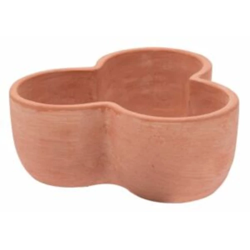 Primula virágcserép, négyes 24cm