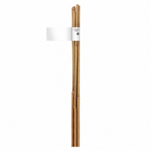 bambusz támrudak 10db 120cm