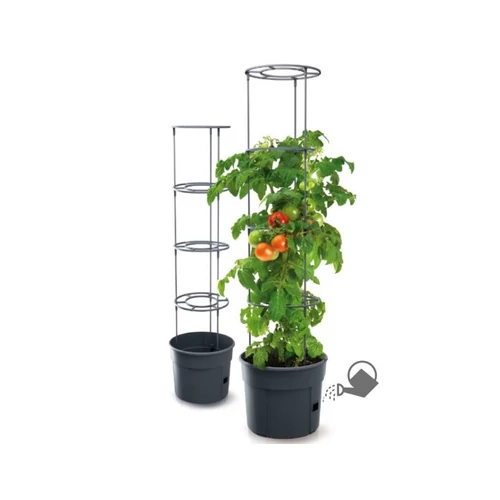 Cserép ültető és növényfuttató támasz (karó) paradicsomhoz Prosperplast TOMATO GROWER antracit 39,2 x 31,5 x 39,2 cm