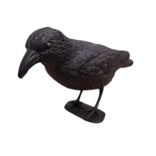 varjú (galamb riasztó)