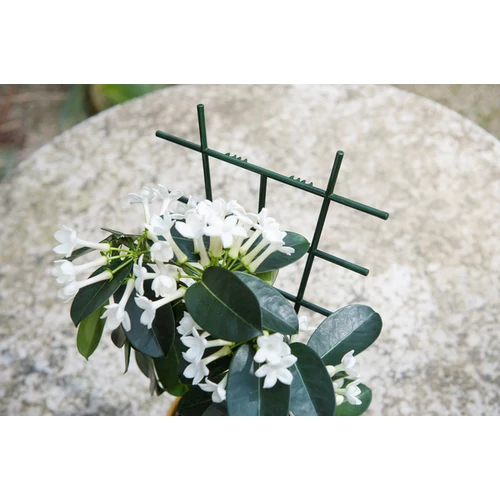 viráglétra (zöld)