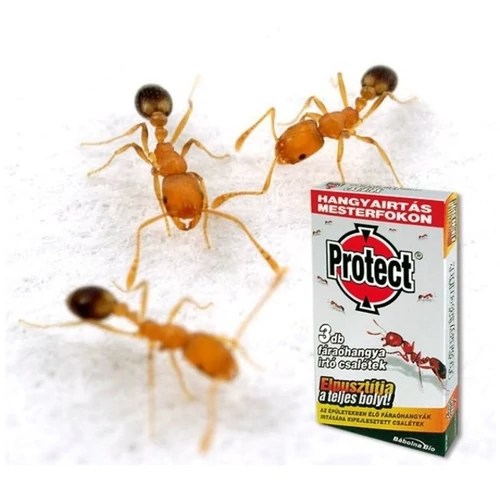 Protect hangyacsali fáraó 3db