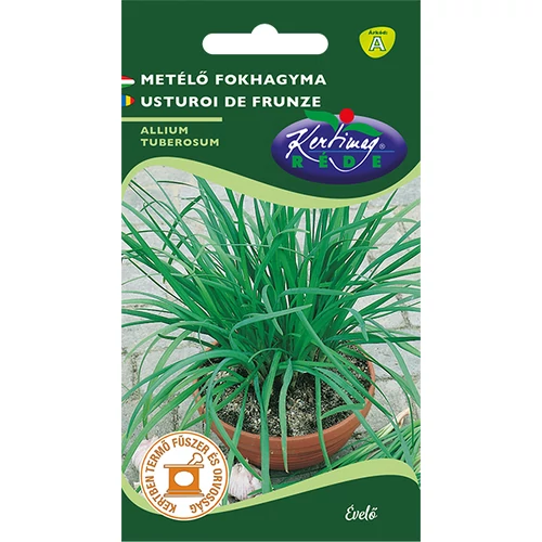 Allium schoenoprasum