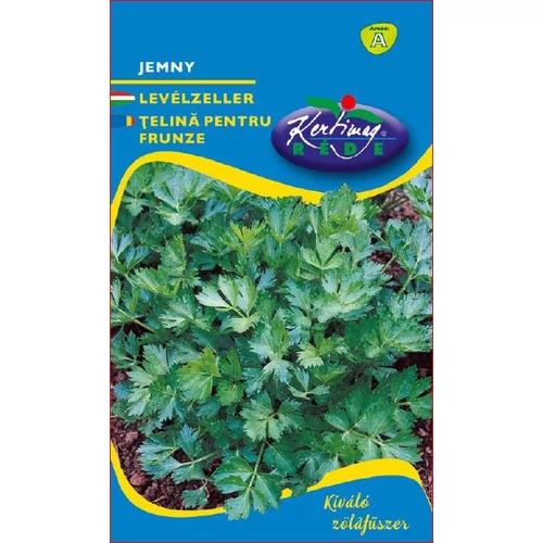 Apium graveolens 'Jemny'