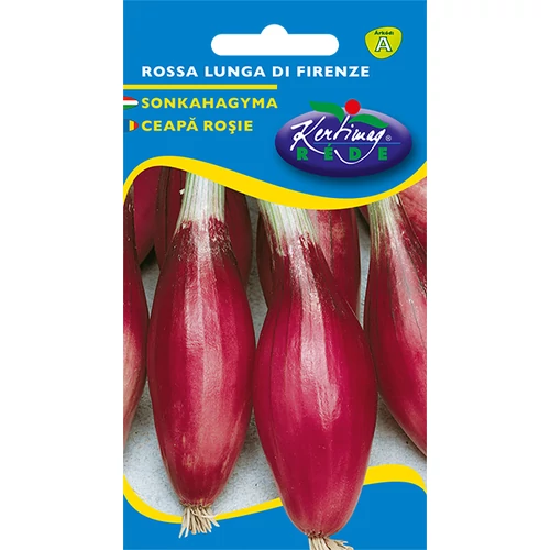 Allium cepa 'Rossa lunga di Firenze'