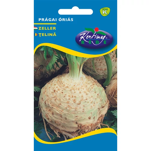 Apium graveolens 'Prágai óriás'