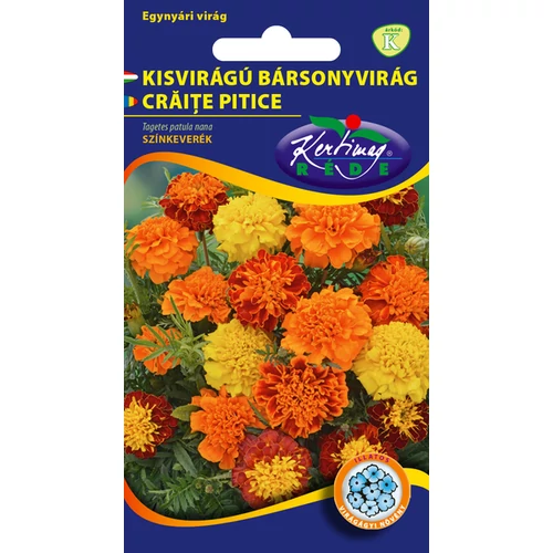 Tagetes patula