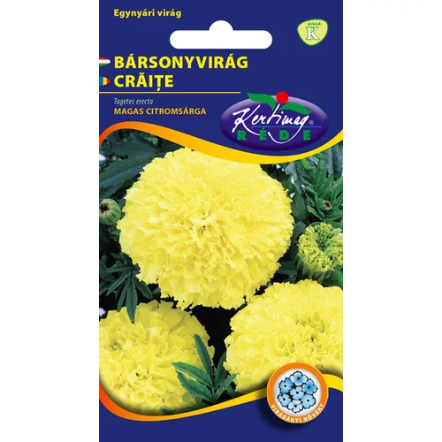 Tagetes erecta