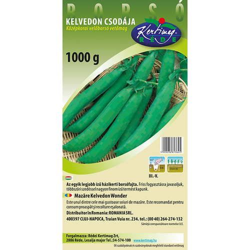 Pisum sativum 'Kelvedon csodája'