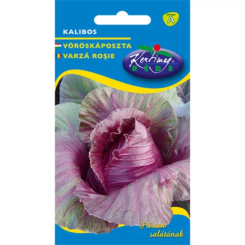 Brassica oleracea rubra 'Kalibos'