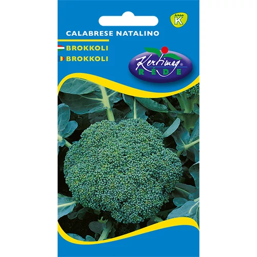 Brassica oleracea cymosa 'Calabrese'