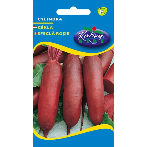 Beta vulgaris 'Cylindra'