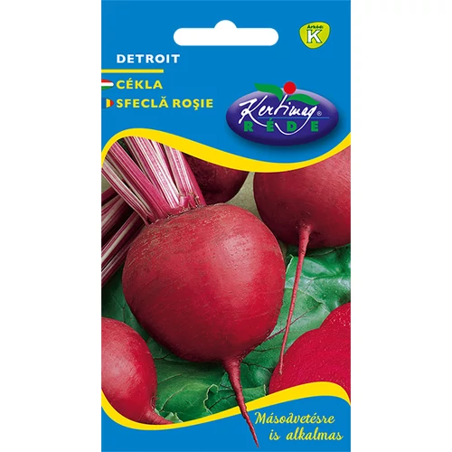 Beta vulgaris 'Detroit'
