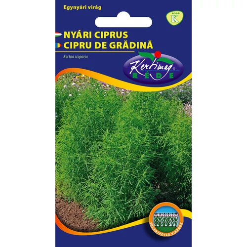 Kochia scoparia
