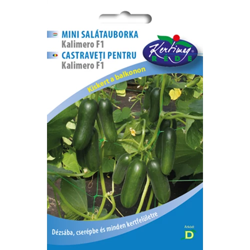 Cucumis sativus 'Kalimero-F1-baby'
