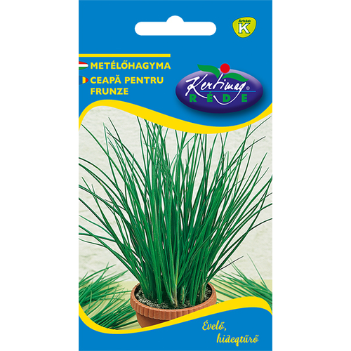 Allium schoenoprasum