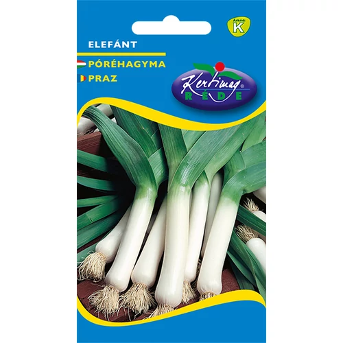 Allium porrum 'Elefánt'