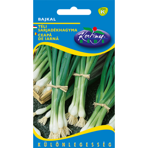 Allium fistulosum 'Bajkal'